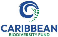 CBF-alternate-1-logo