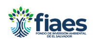 FIAES LOGO FINAL-02